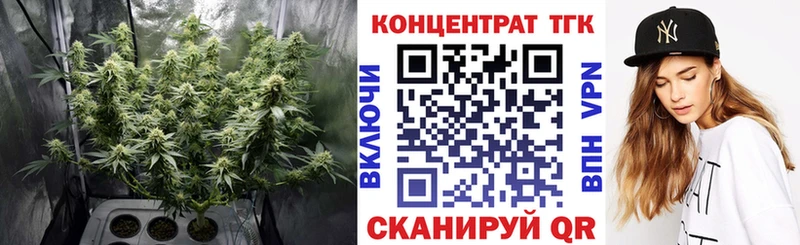 ТГК Wax Дудинка