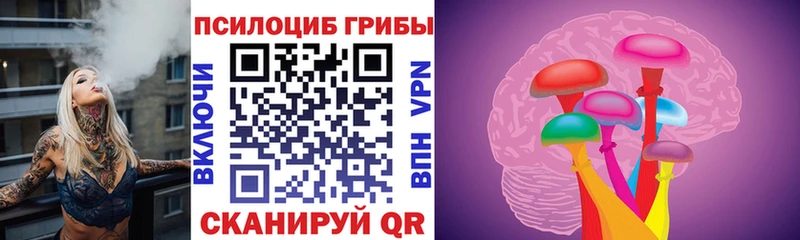 Псилоцибиновые грибы мицелий  купить   мега tor  Дудинка 